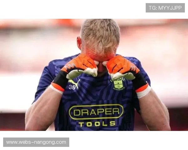 调查显示超三分之一英超球迷通过非官方平台观看比赛